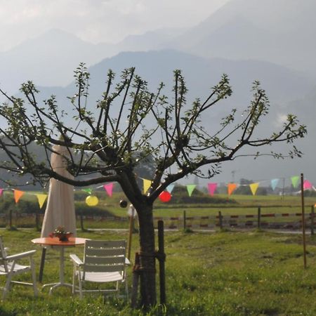 Reichenbachlodge Meiringen Zewnętrze zdjęcie